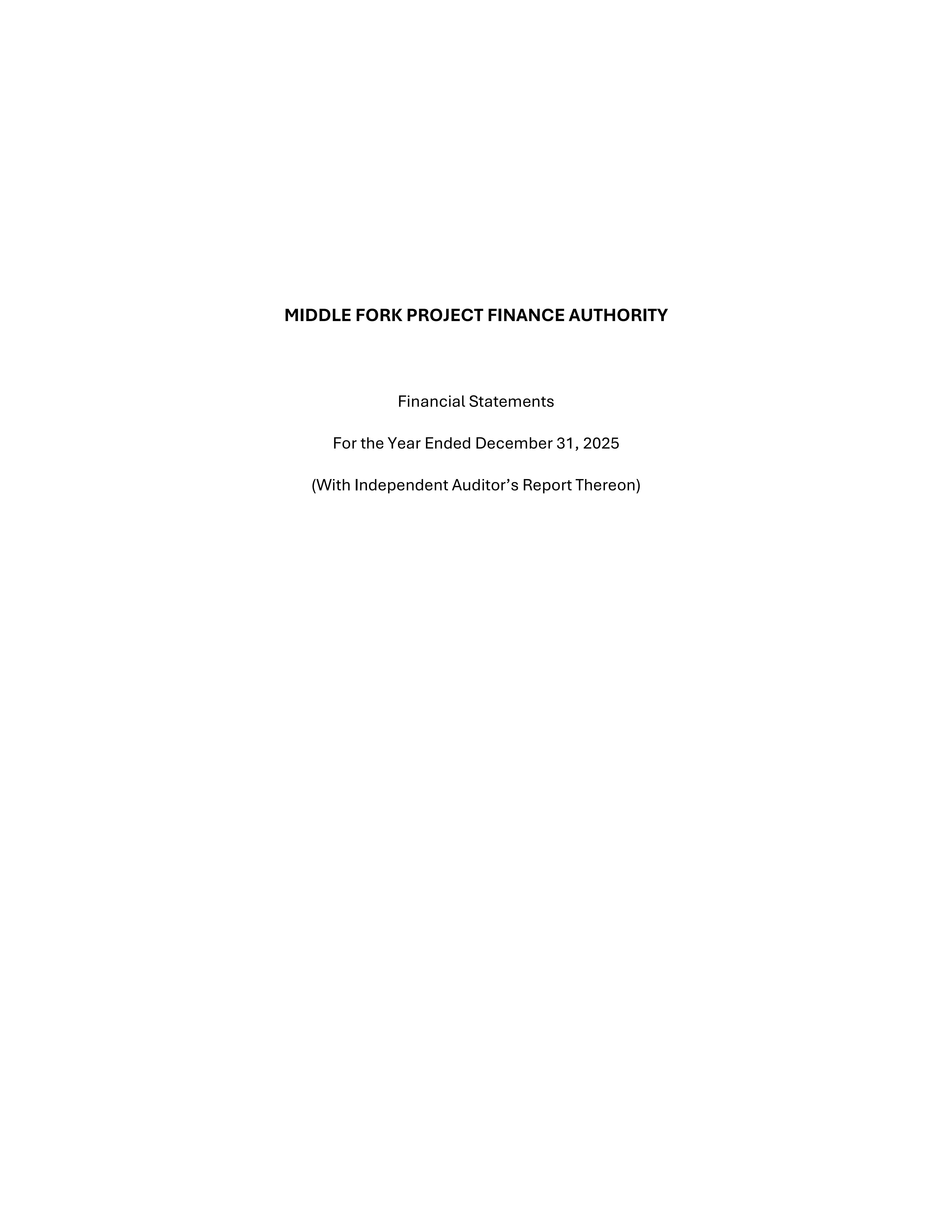 Thumbnail and link for 2025 Financial Statement and Audit pdf